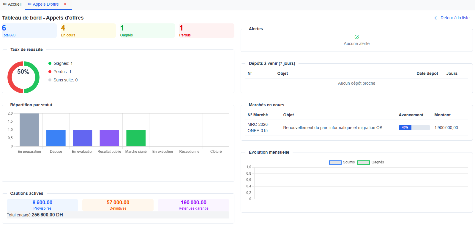 Appels d'offres - Capture 3