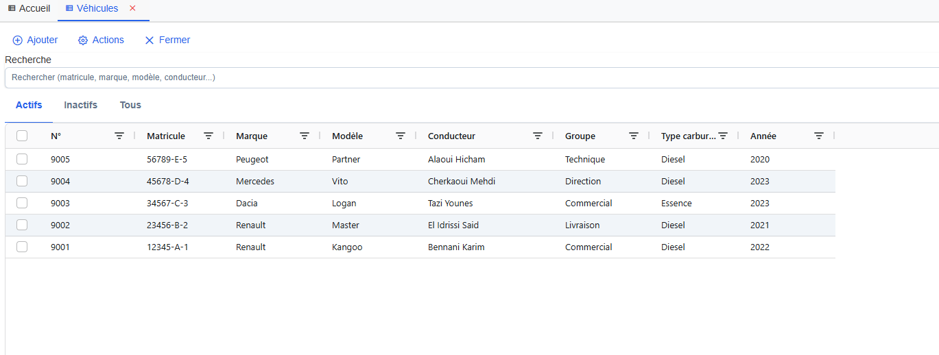 Parc automobile - Capture 1